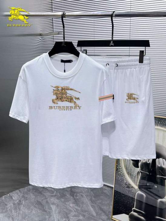 Picture of Burberry Shirt Pant Suits _SKUBurberryM-5XL12yn28320581